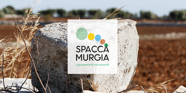 SPACCAMURGIA